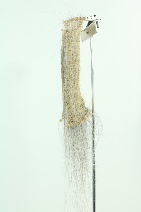 CF20466 (5-7")