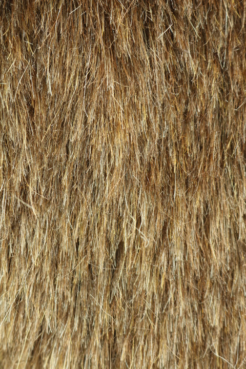 CF20665T (2 1/2 cm)