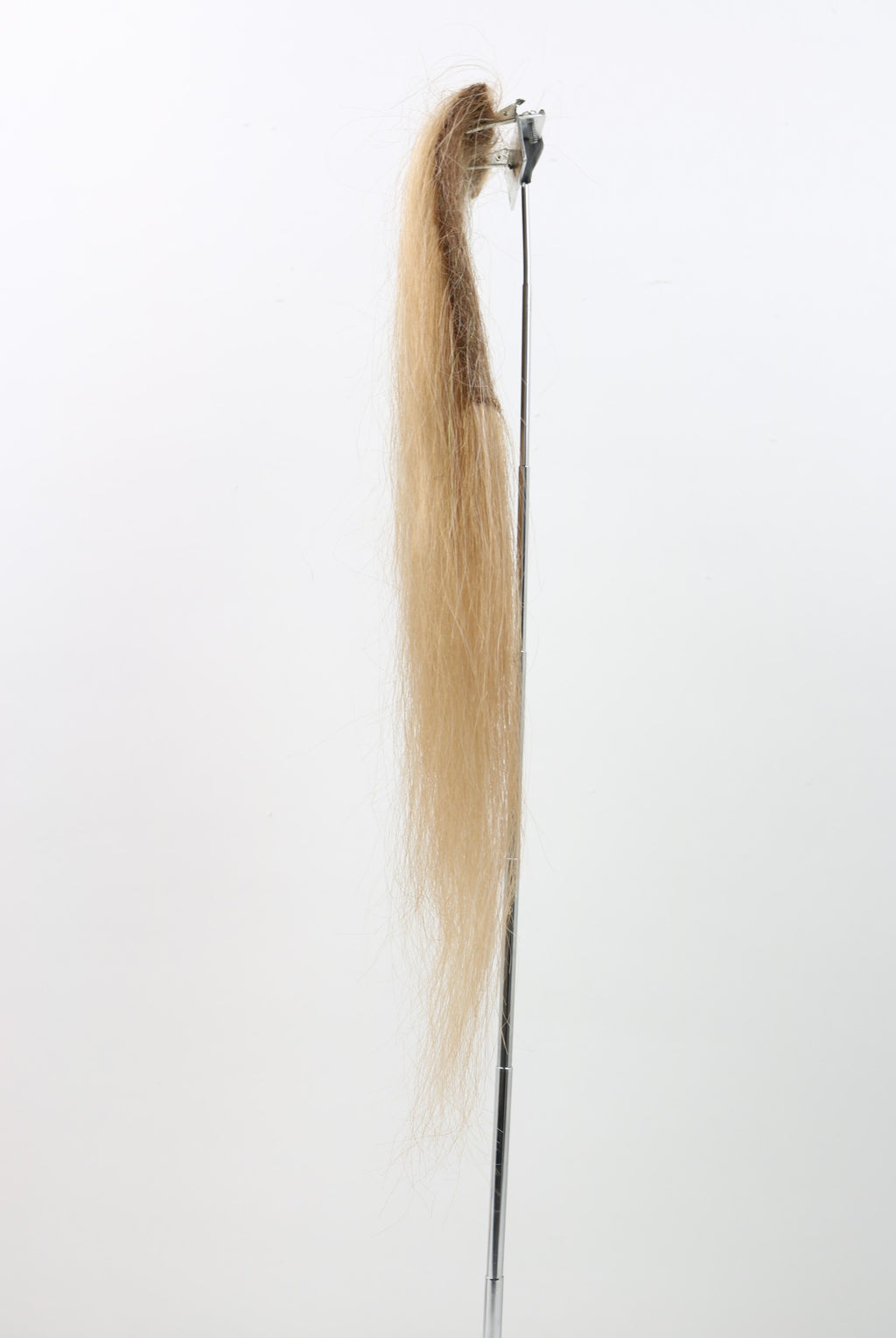 CF21080 (10-12")