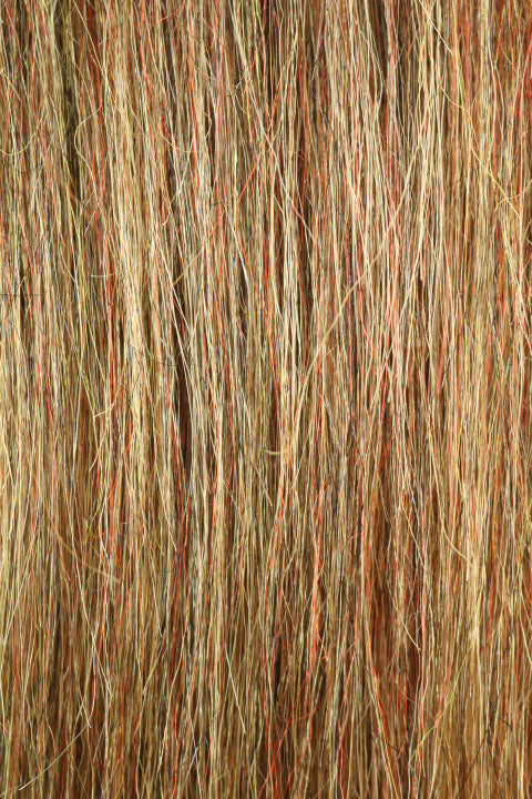 HMC1415 (10-12”)