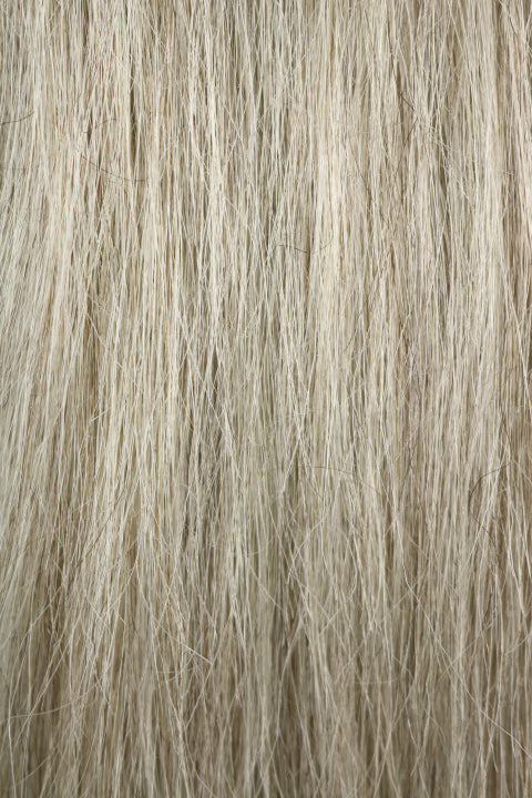HMC1468 (10-12")