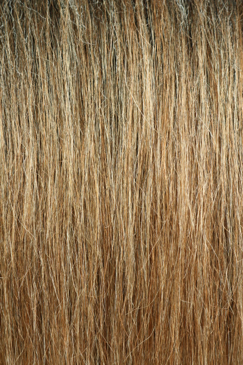HMC1479 (5-7")