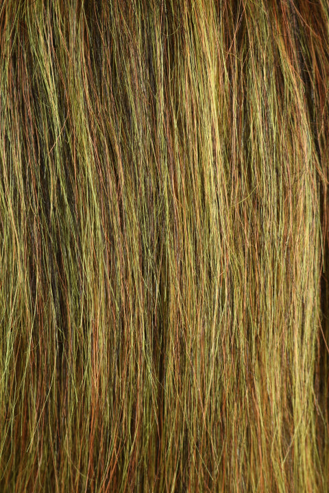 HMC1583 (5-7")