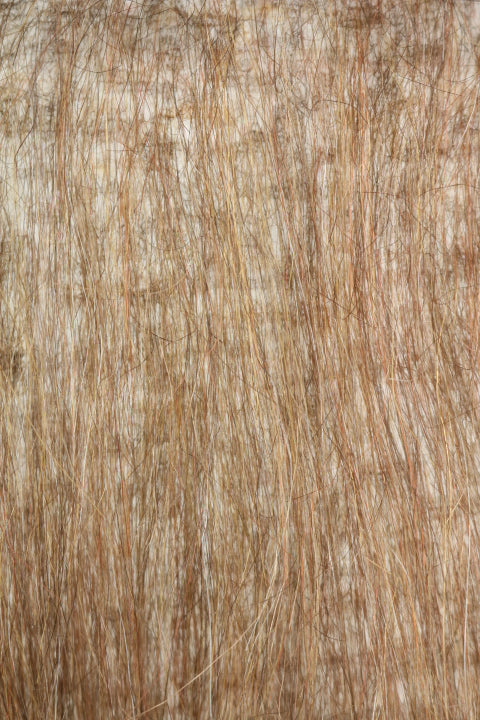HMC1584 (5-7")