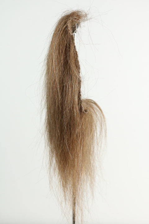 HMC1586 (5-7")