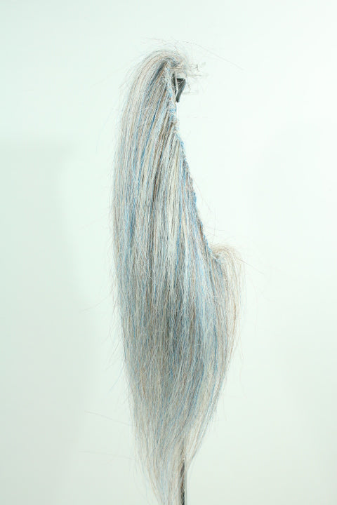 HMC1709 (5-7")