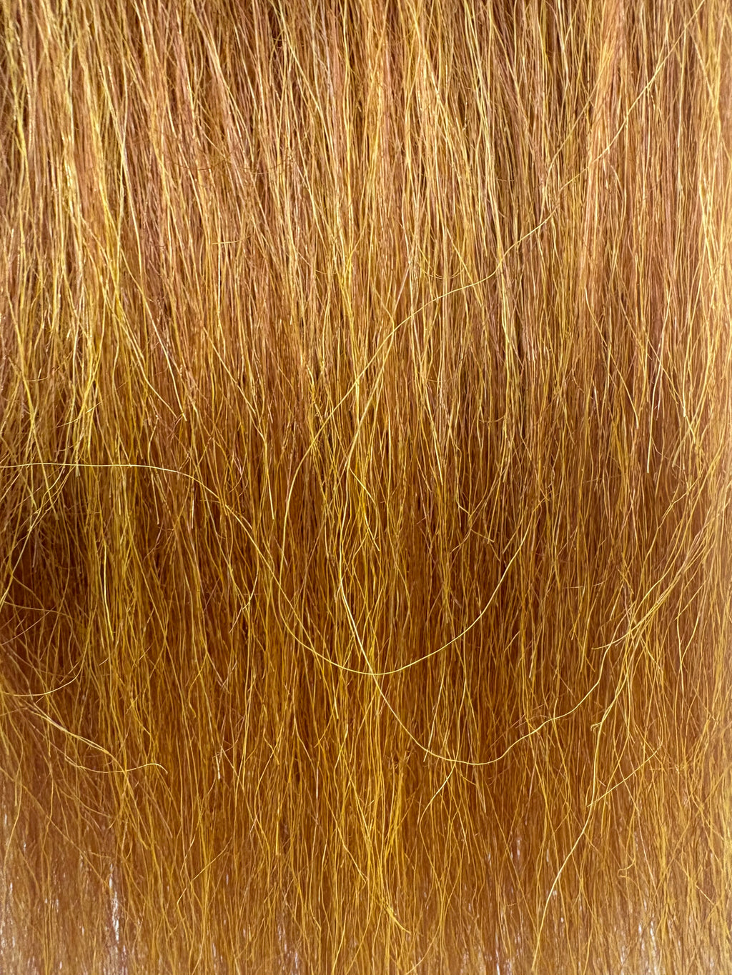 CF8626 (5-7")