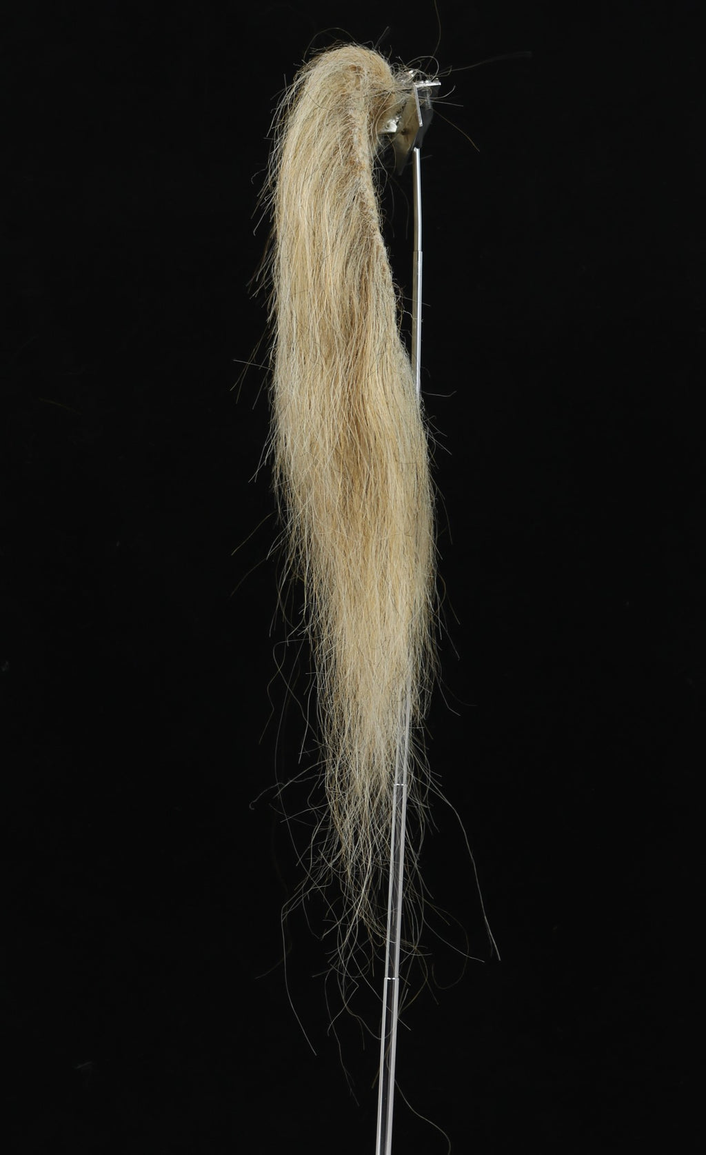 CF21056 (5-7")