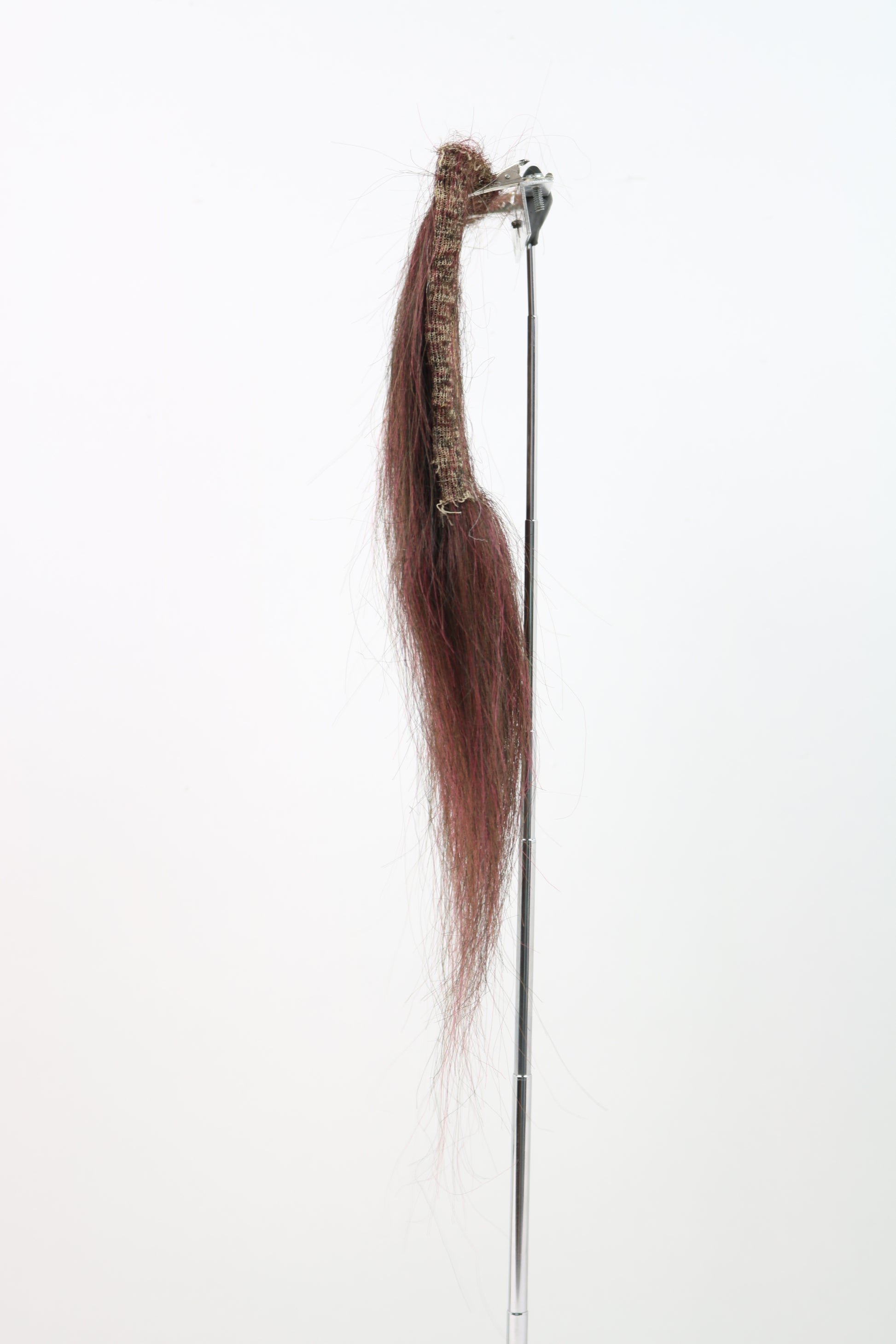 CF21181 (10-12")