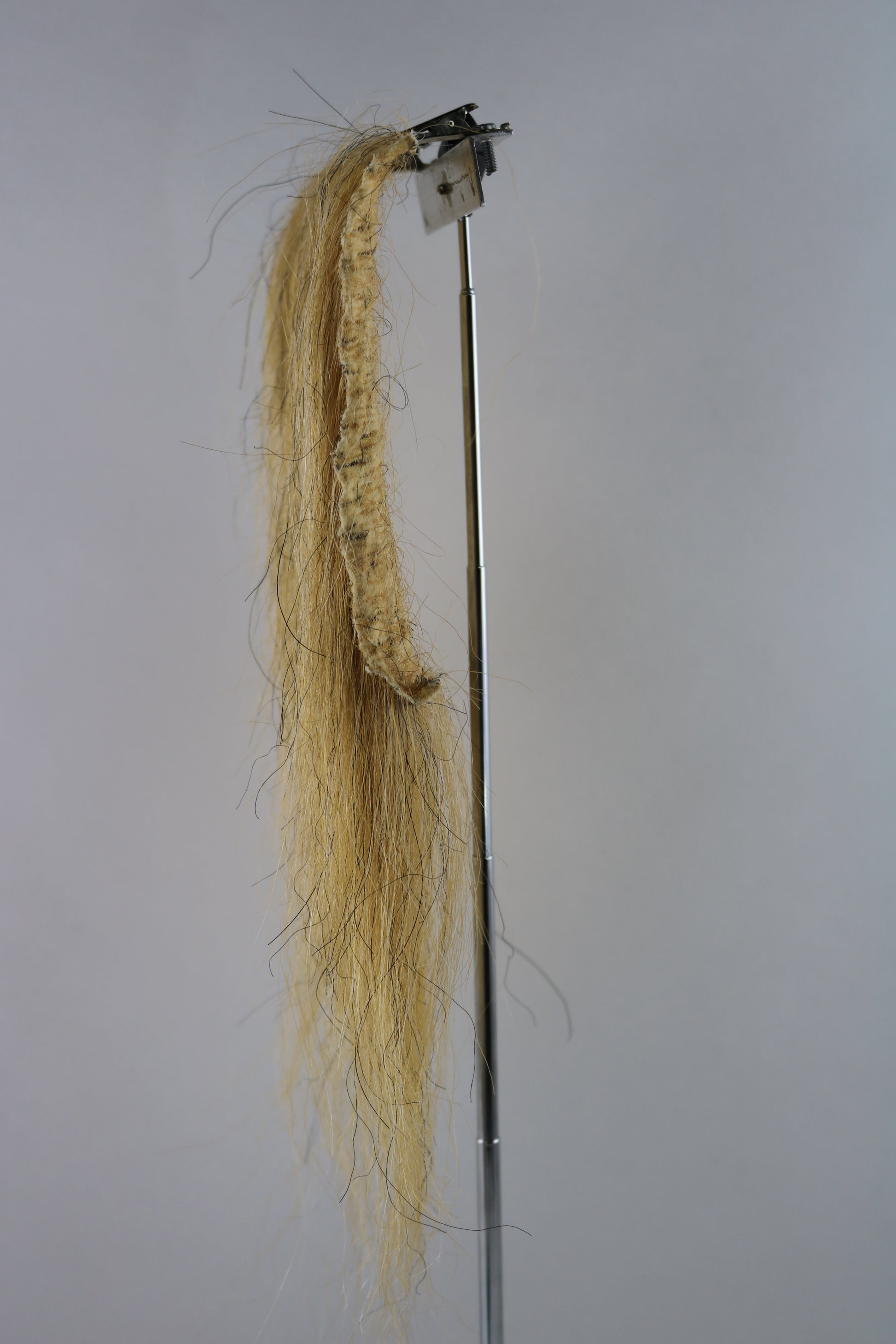 CF9848D (5-7")